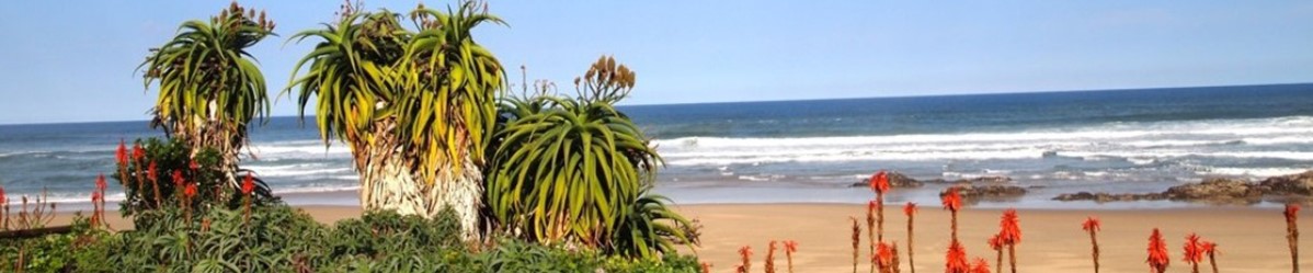 Far Niente Beachfront Guesthouse
